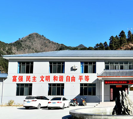 铜钱木耳红崖河，快乐奔赴大餐桌